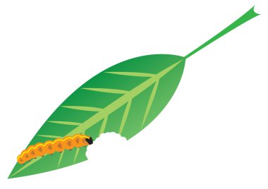 Caterpillar clipart