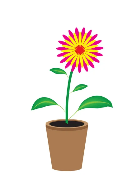 रंगीबेरंगी फूल — स्टॉक व्हेक्टर