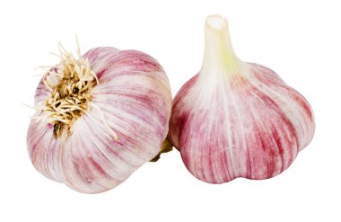 Garlic on a white background clipart