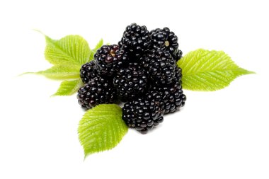 Blackberry