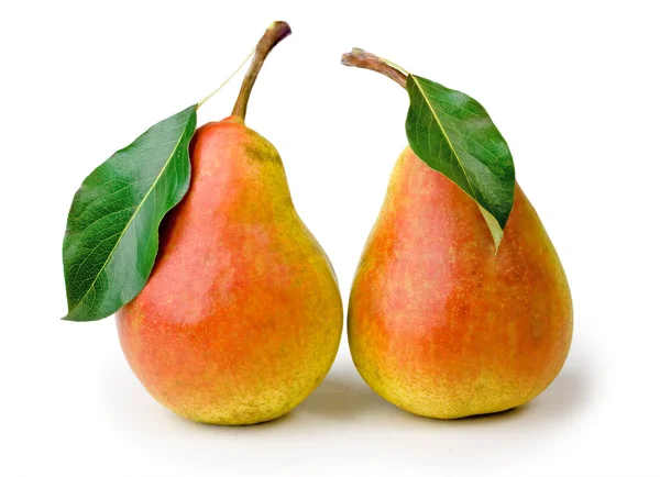 Ripe pears with leaves on white backgrou — Stock Photo, Image