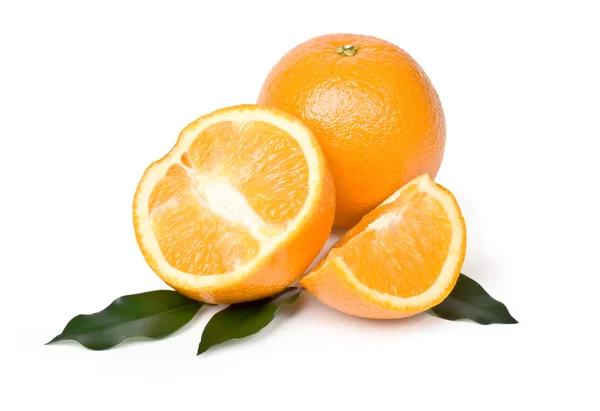 Verschillende sinaasappelen op witte achtergrond — Stockfoto