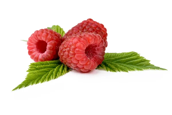 라즈베리 wi의 여러 익은 열매 — 스톡 사진