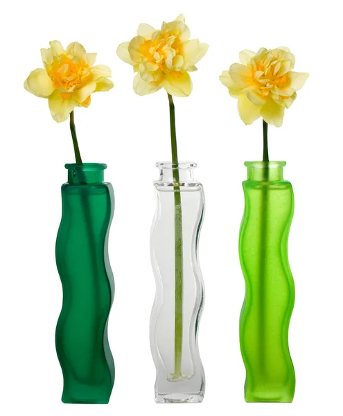 Three narcissuses in vases — Stock Photo, Image