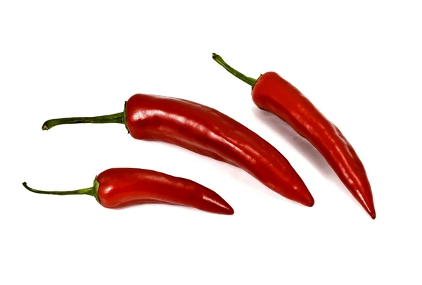 Rode peper op witte achtergrond — Stockfoto