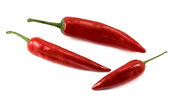 Röd paprika på vit bakgrund — Stockfoto