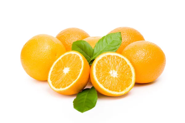 Várias laranjas no fundo branco — Fotografia de Stock
