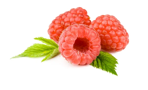 Raspberries on white background — Stock Photo, Image