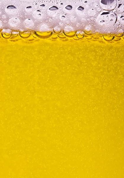 Фон для пива — стоковое фото