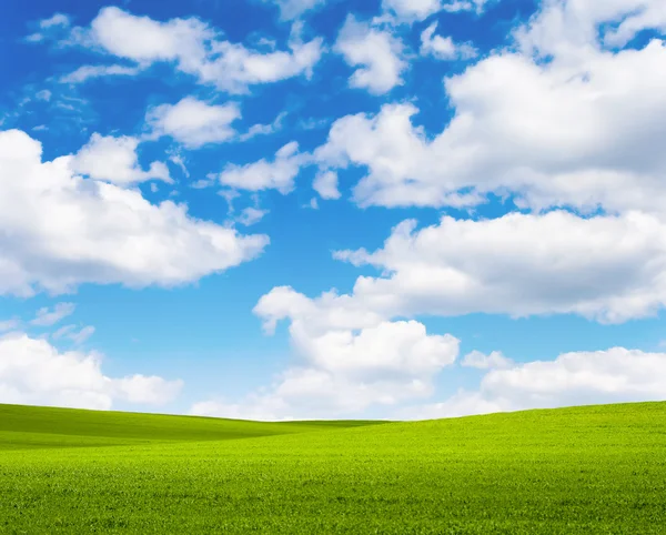 Krajina trávy obloha — Stock fotografie