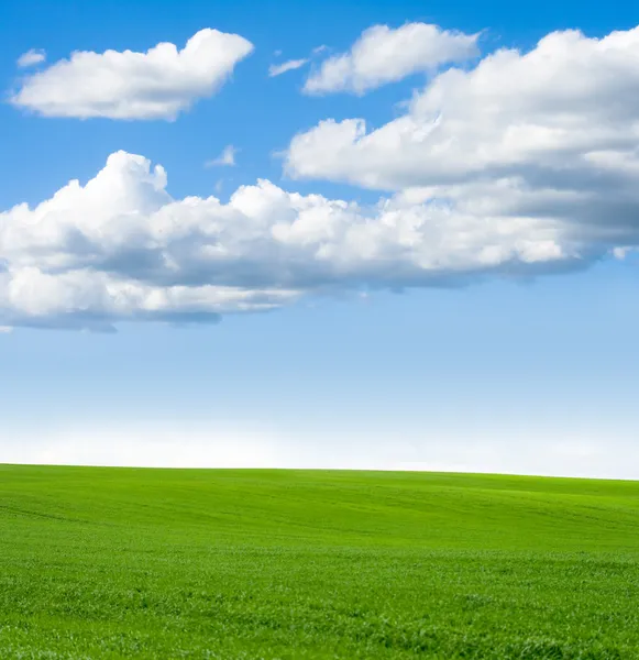 Landschap gras hemel — Stockfoto
