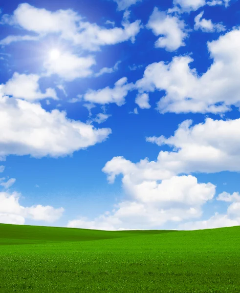 Landskap gräs sky — Stockfoto