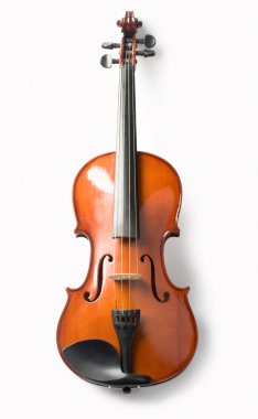Violin isolate clipart