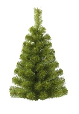 Christmas fur-tree clipart