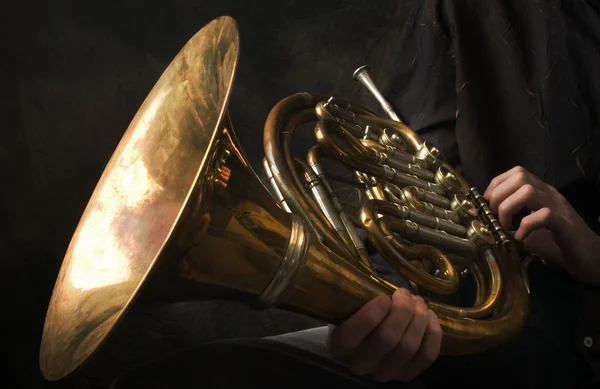 Tuba Player Images – Browse 2,267 Stock Photos, Vectors, and Video
