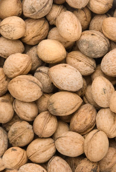 Background of walnuts — Stock Photo, Image