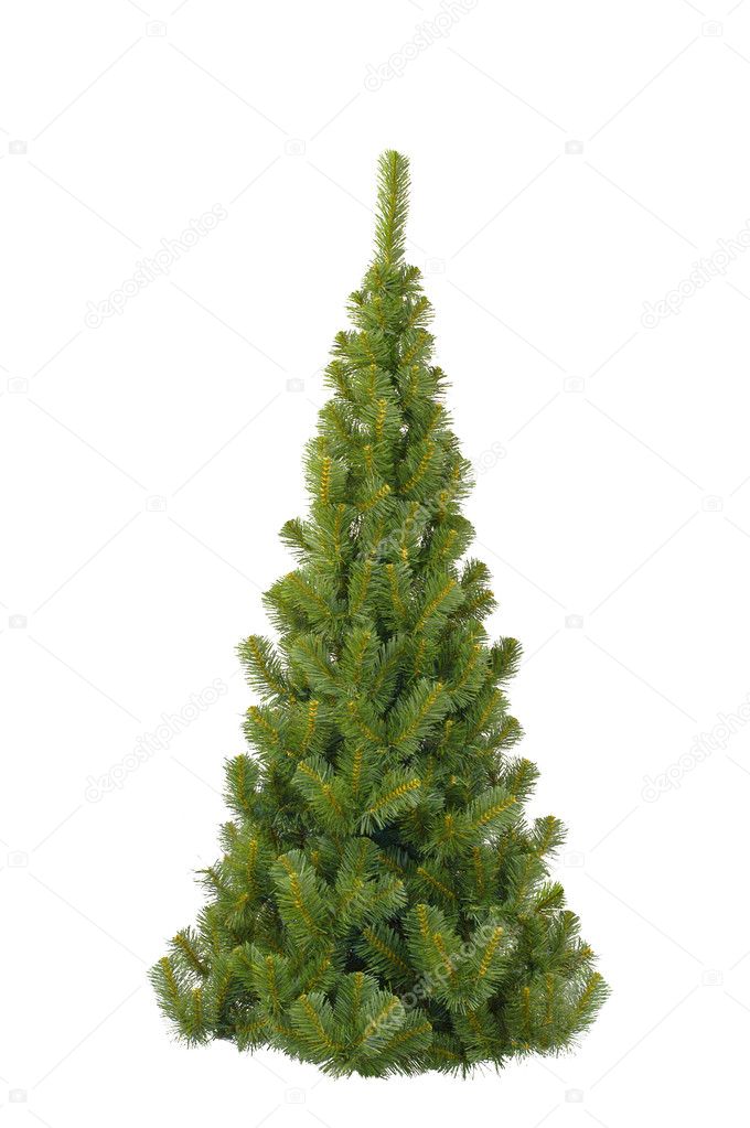 Christmas fur-tree