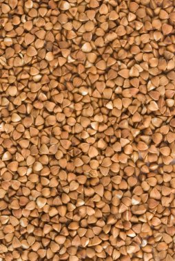 Buckwheat texture clipart