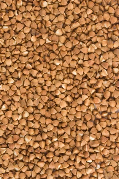 Texture di grano saraceno — Foto Stock