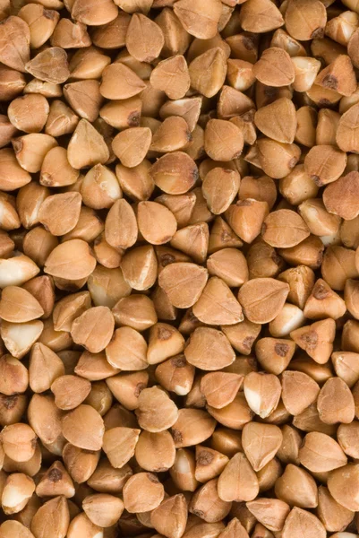 Buckwheat texture closeup — Stock Photo, Image