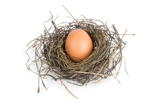 Jajko w ptak — Zdjęcie stockowe