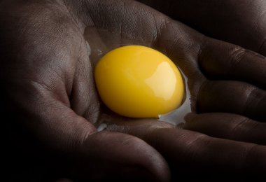 kırık yumurta