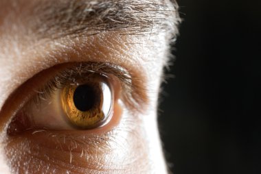 Human eye close-up clipart