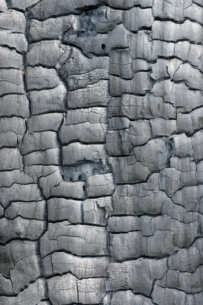 Texture of burned wood — Stock Photo, Image