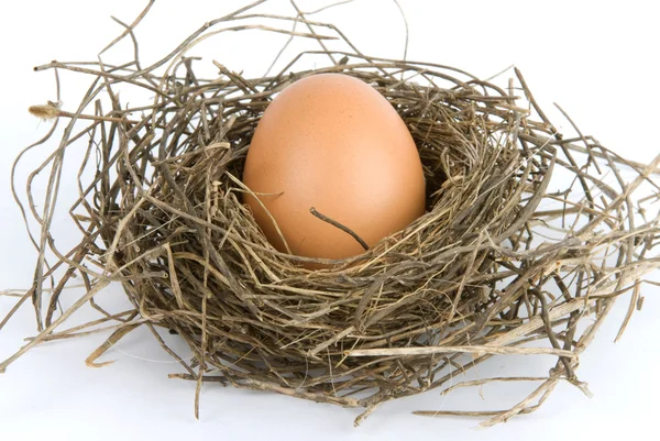 Huevo en el nido —  Fotos de Stock