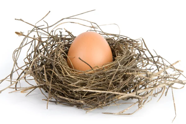 Fészek tojás — Stock Fotó