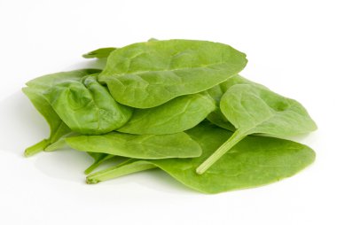 Spinach clipart