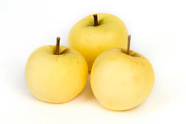 Três maçãs amarelas — Fotografia de Stock