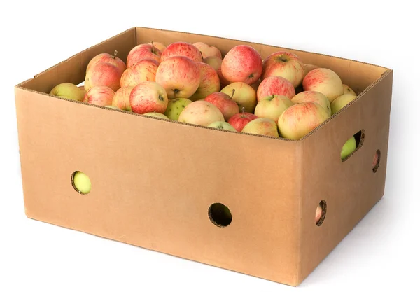 Свежие яблоки в коробке — стоковое фото
