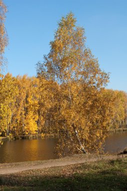 Sonbahar