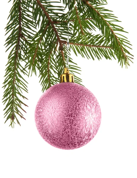 Bir köknar ağacında Noel süslemesi — Stok fotoğraf
