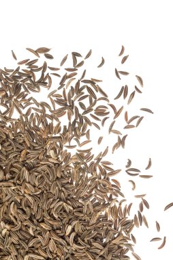 Caraway seeds clipart