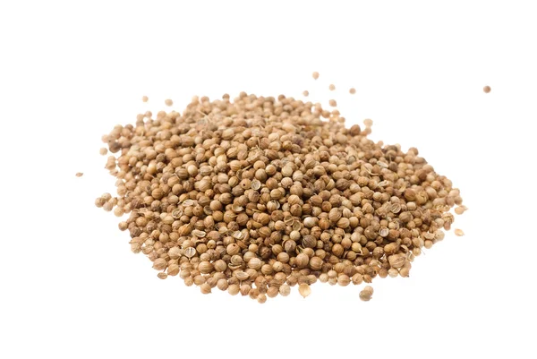 Heap of coriander seeds — Stock Photo, Image