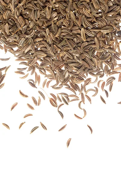 Caraway seeds — Stock Photo, Image