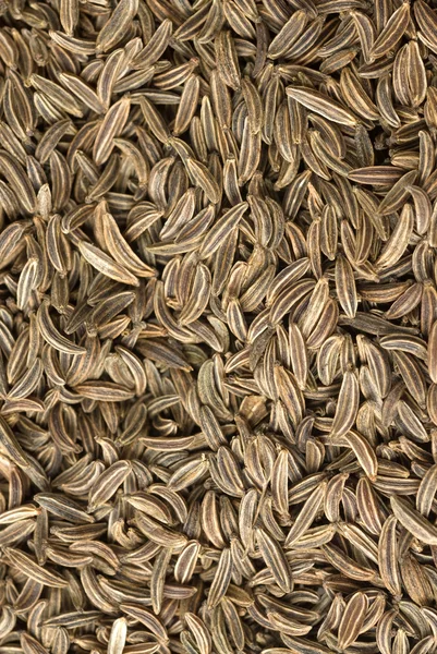 Closeup of caraway seeds — Stock Photo, Image