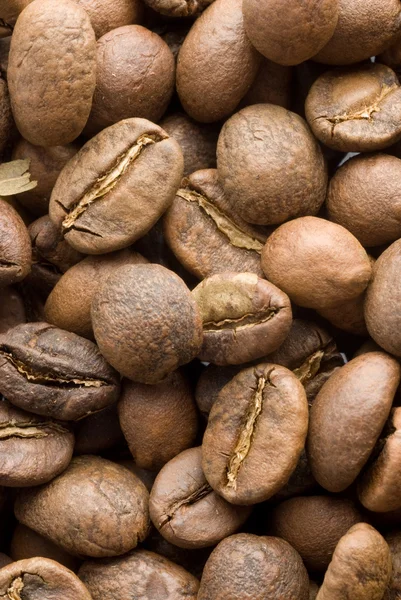 高品质烤咖啡豆 — Stockfoto