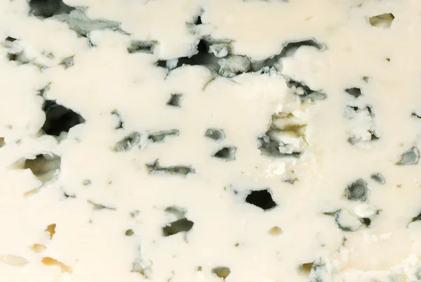 Mavi peynir dilimi makro — Stok fotoğraf