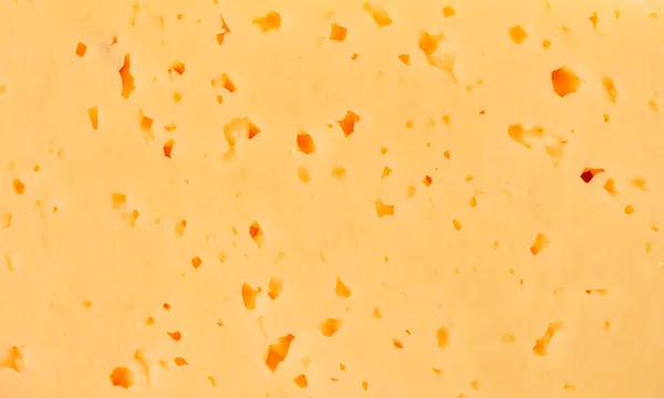 Closeup of cheese — Stock Photo, Image