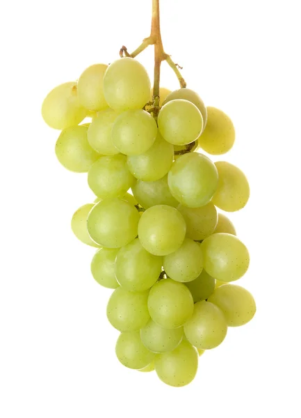 stock image Fresh grapes