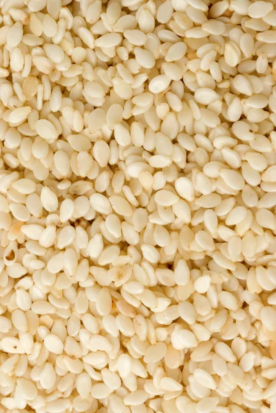 Close shot of a group of sesame seeds — Stock Photo, Image