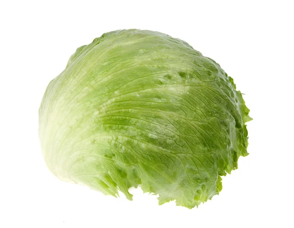 Cabbage on white — Zdjęcie stockowe