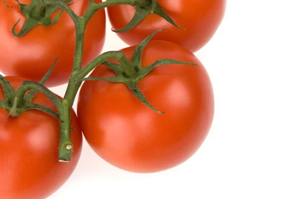 Rote Tomaten — Stockfoto