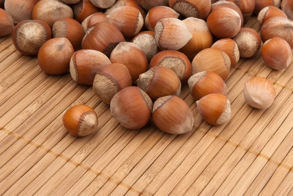 Many brown hazelnuts — Stock Photo, Image