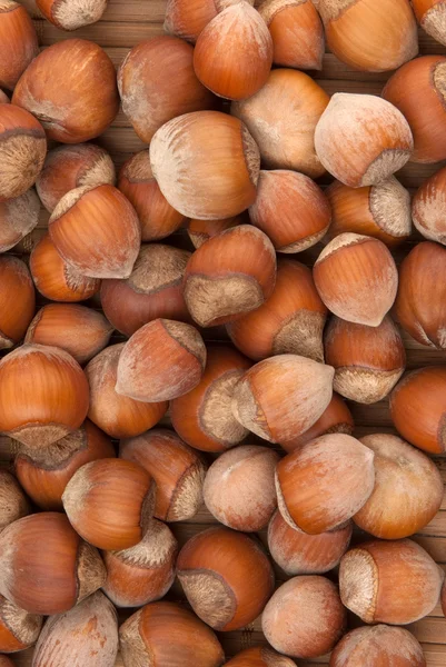Many brown hazelnuts with hard nutshells — Stock Photo, Image