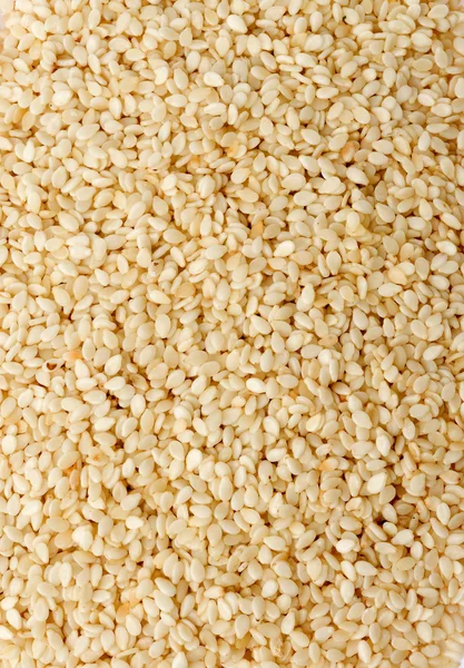 Group of sesame seeds — Stock Photo, Image
