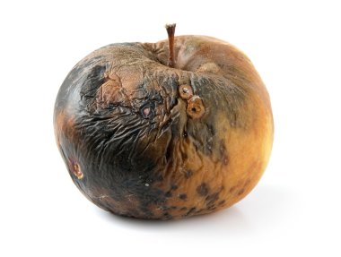 Rotten apple clipart